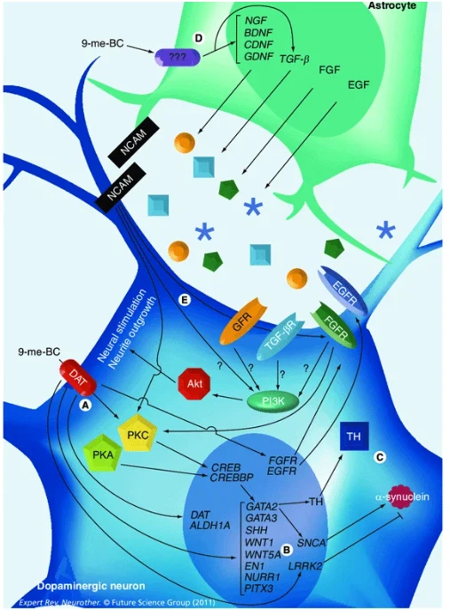 9ME BC MECHANISM 9ME BC MECHANISM