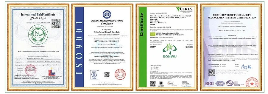 certification certification