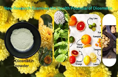 গবেষকরা অক্সিডেটিভ স্ট্রেসের বিরুদ্ধে লড়াইয়ে ডায়োসমেটিনের সম্ভাব্য ভূমিকা ...