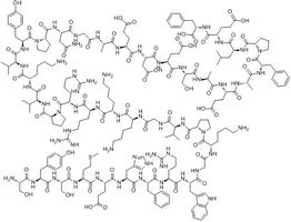 ACTH 1 39 structure ACTH 1 39 structure